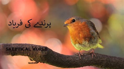 Allama Iqbal poetry | Bang e Dara | parenday (bird) ki faryad with full ...