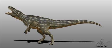 Megalosaurus by Manuelsaurus on DeviantArt