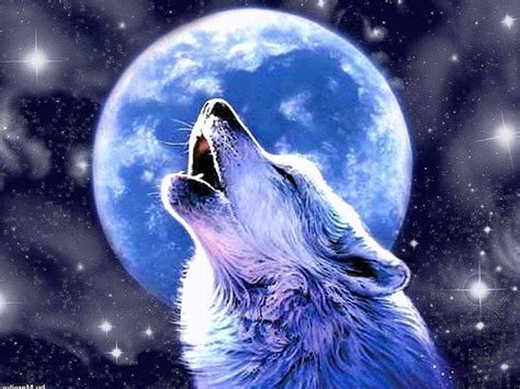 Anime Wolf Howling At The Moon Wallpapers - www.Wolf-Wallpapers.pro