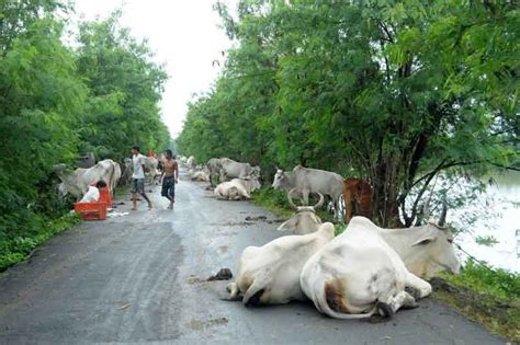 Agricultural damage due to typhoons hit P1.6 billion | Philstar.com