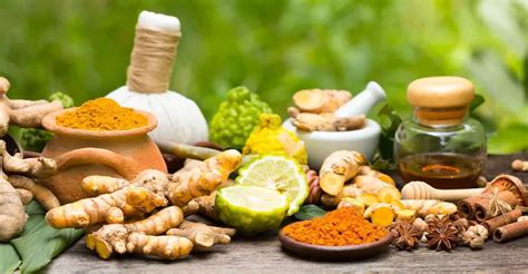 Siddha Medicine: Exploring Herbs and Spices - Mayura Ayurveda & Siddha ...