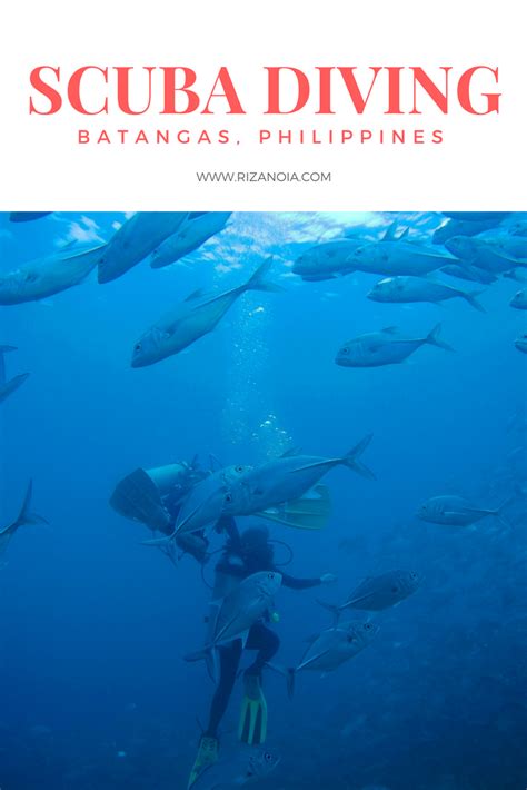 Best Scuba Diving Site in Batangas, Philippines | Dive resort, Best ...