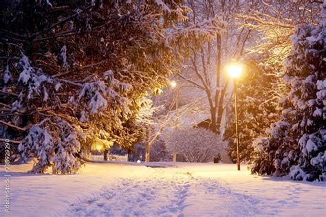 Background Images Nature Snow