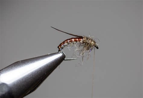 How To Tie A Caddis Nymph (Step-By-Step With Video) - Into Fly Fishing