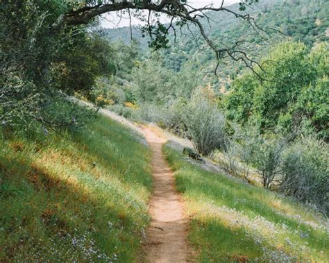 Hiking Mill Creek Trail In California | California Wanderland