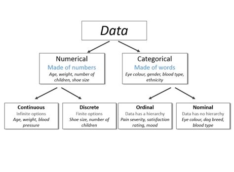 Types Of Data Categorical Vs Numerical Data – Winder Folks