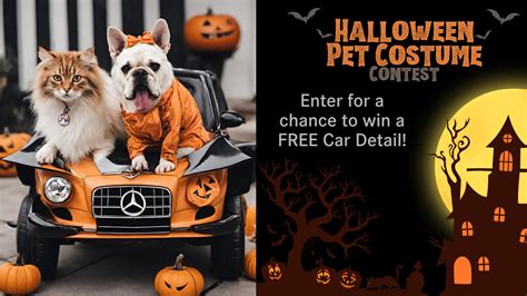 Halloween Pet Contest | Fletcher Jones Imports