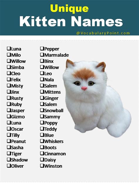 100+ Cute Kitten Names | Kitten names, Cat names, Cute cat names