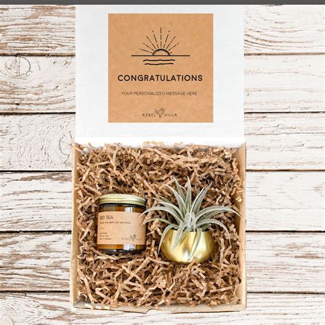 Congratulations Gift Box Succulent Congrats Basket for - Etsy