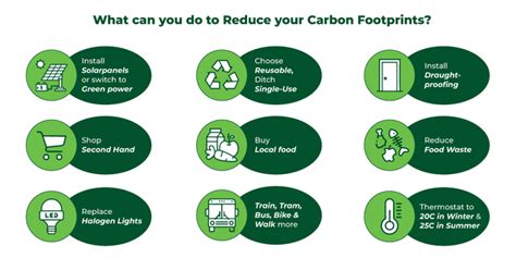 10 Simple Ways to Reduce Your Carbon Footprint (& Save Money!)