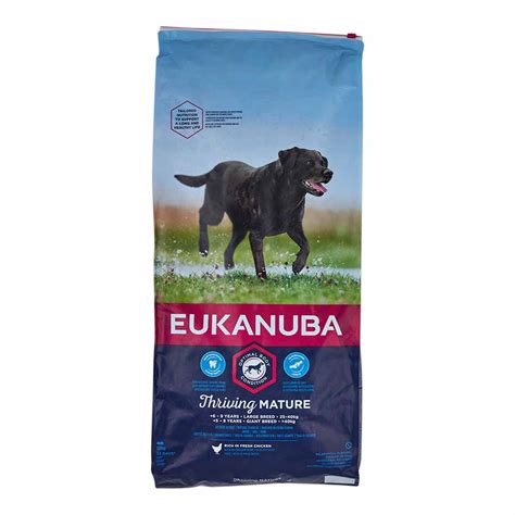 Eukanuba Senior Dry Dog Food Large Chicken 12kg | Dry Dog Food