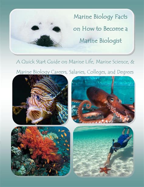 Marine Biology Facts on How to Become a Marine Biologist eBook by ...