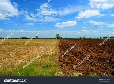 Empty Wide Field Under Blue Sky Stock Photo 626232680 | Shutterstock