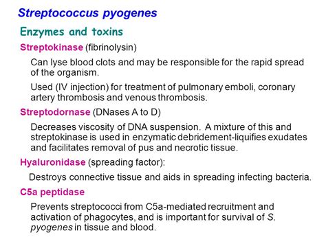 What antibiotics treat streptococcus pyogenes