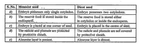 Differentiate between monocot seed and dicot seed.