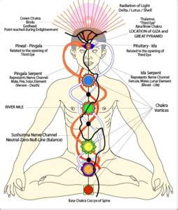 Nadis Of The Subtle Body: Sushumna, Ida and Pingala