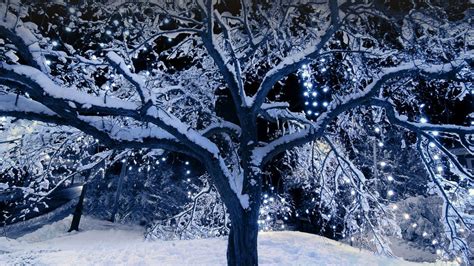 A snow covered tree outside with Christmas lights, Bracebridge, Ontario ...