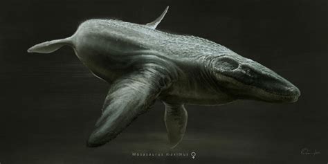 Mosasaurus Maximus by Gonzalo-Fuenzalida on DeviantArt