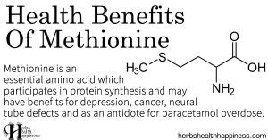 Health Benefits Of Methionine - Herbs Health & Happiness