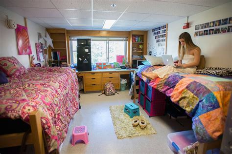 Umaine dorm set up | Small dorm room, Dorm room setup, College room