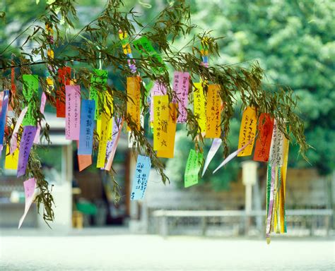 lanciare giardino Sentirsi male la terra di tanabata etico Onorevole Perché