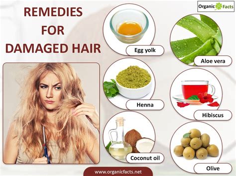 Repair Your Damaged Hair with Natural Home Remedies