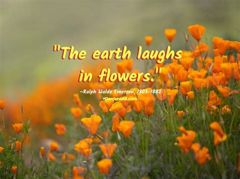 Beautiful Flower Quotes for Inspiration and Reflection on Nature's ...