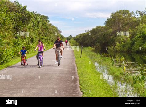 Miami Florida,Everglades National Park,Shark Valley,Tram Tour Trail ...