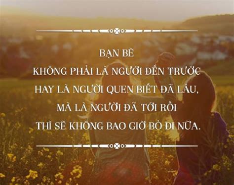 Những câu nói hay về tình bạn: STT, CAP, TUS buồn vui đủ thể loại | AhaChat