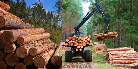 Difference Between Wood And Timber | What is Lumber? - Civil Lead