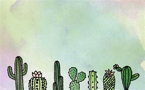 Cactus Wallpapers on WallpaperDog