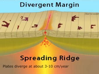 Mid Ocean Ridge Animation