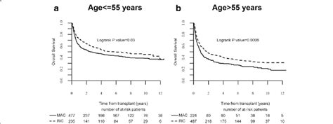 Overall survival after allogeneic stem cell transplantation in patients ...