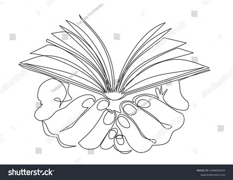 6,699 Hand Holding Open Bible Images, Stock Photos & Vectors | Shutterstock