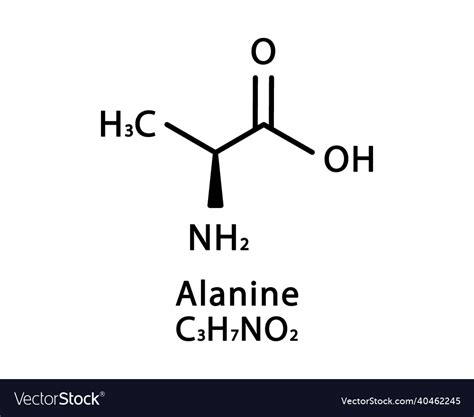 Alanine molecular structure skeletal Royalty Free Vector