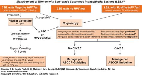 Acog Pap Guidelines 2019 Algorithm | carfare.me 2019-2020