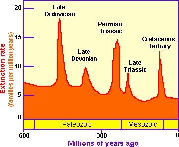 The Sixth Mass Extinction: Will humans be the cause of the Sixth Mass ...