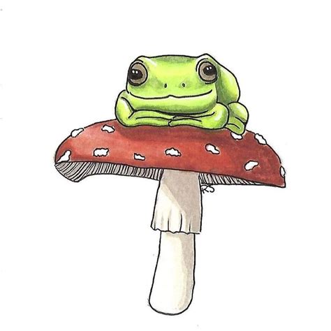 Frog And Mushroom Drawing Aesthetic - Justindrew