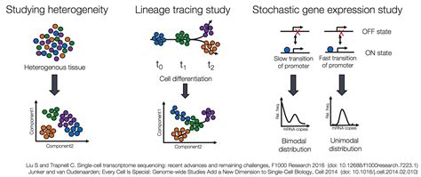 Introduction to single-cell RNA-seq