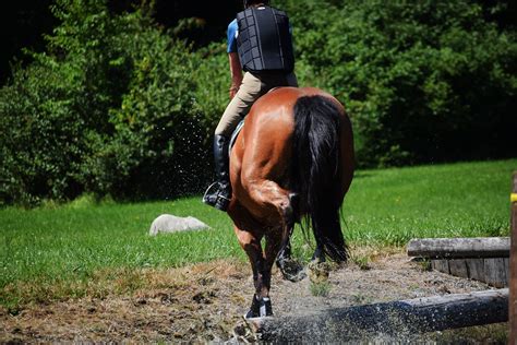 Nikon 672 | Equine Reflections Photography | Flickr