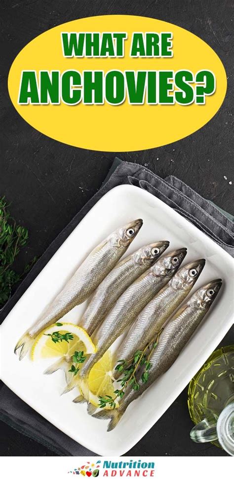 Anchovies 101: A Little Fish With Big Nutrition Benefits | Fish recipes ...