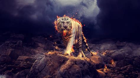 Fire Tiger Wallpaper