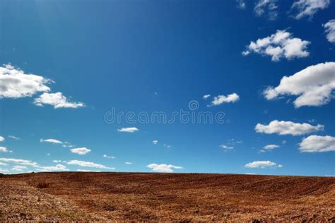 Empty Harvested Field Under Cloudy Blue Sky Stock Photo - Image of ...