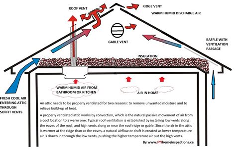 Understanding Attic Ventilation - FYI Home Inspections