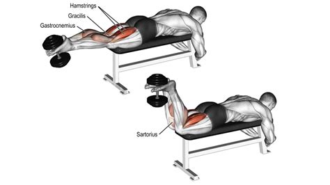 15 Best Hamstring Exercises For Mass and Strength