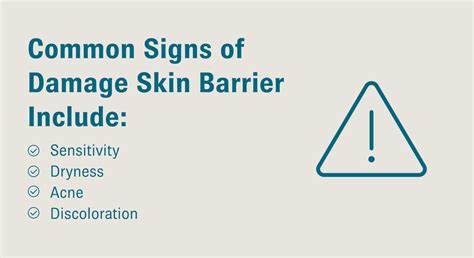 Damaged Skin Barrier: How to Treat Skin Barrier Damage | Colorescience