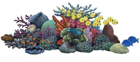 Free Coral Reef Cliparts, Download Free Coral Reef Cliparts png images ...