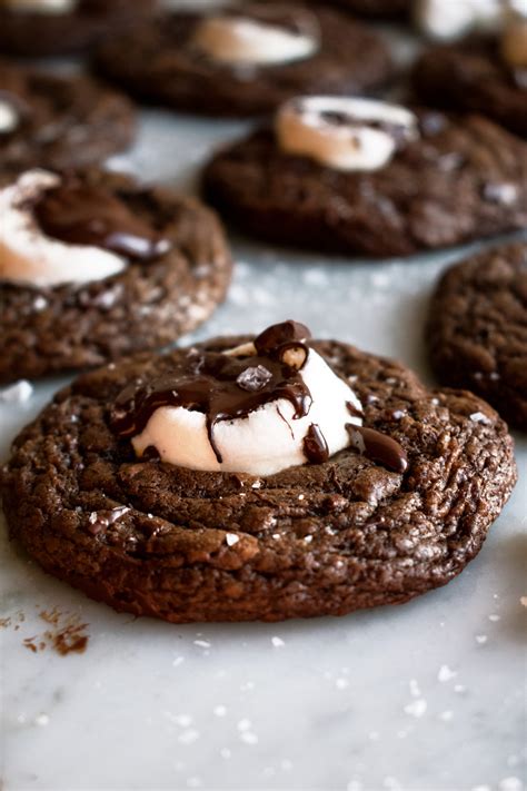 Hot Cocoa Cookies - The Original Dish