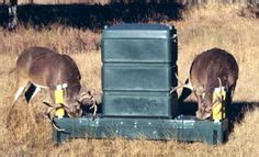 14 Corn feeder ideas | deer feeders, feeder, deer feeder diy