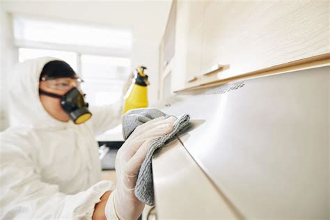 Expert Advice: Mold Removal Service for Your Home - Handyman Oklahoma City